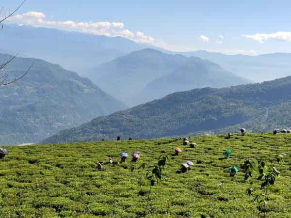 Sikkim cycling vacation, India