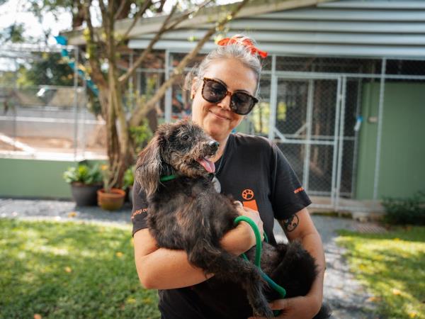 Dog rescue volunteering holiday, Thailand