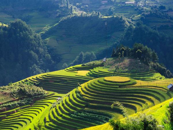 Vietnam community tour with volunteering