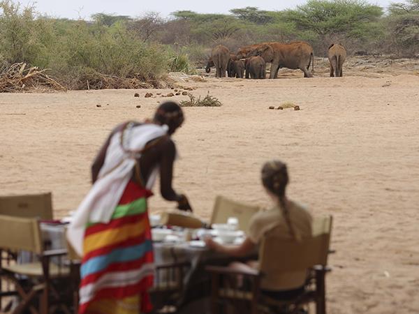 Samburu and Masai Mara luxury camping vacation, Kenya