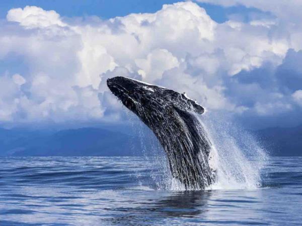 Costa Rica ecotourism vacation