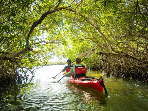 Cuba multi activity vacation