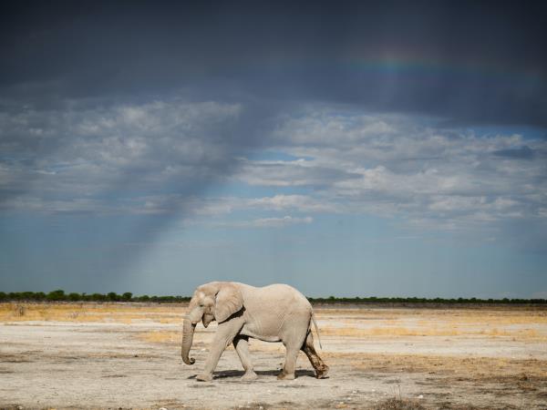 Namibia photography tour