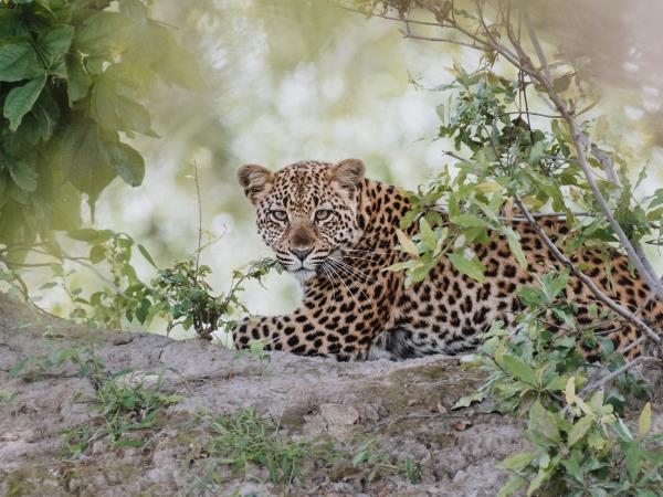 Victoria Falls photography vacation, Zimbabwe