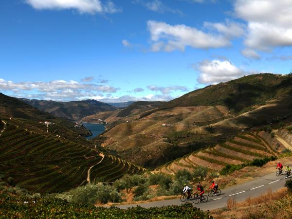 Cycle the Douro Valley, Portugal