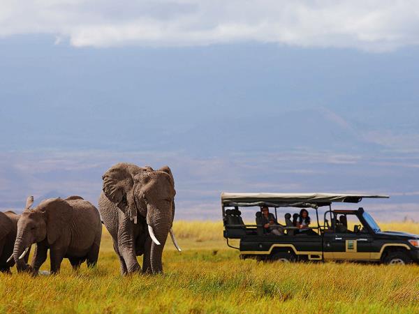 Kenya flying safari