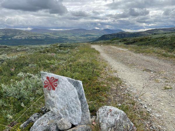 Hiking vacation in Norway, Dovrefjell National Park