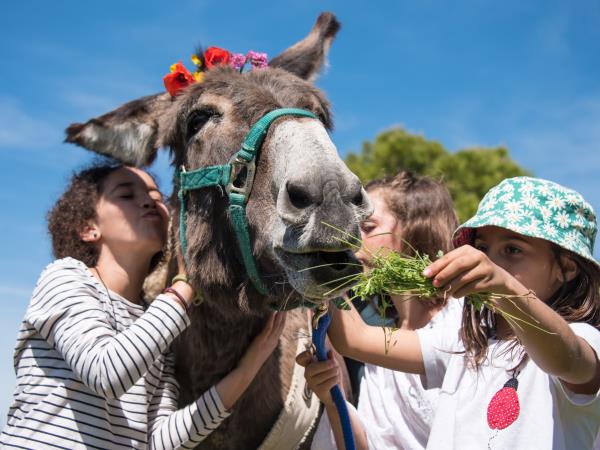 Family walking vacations with a donkey, France 