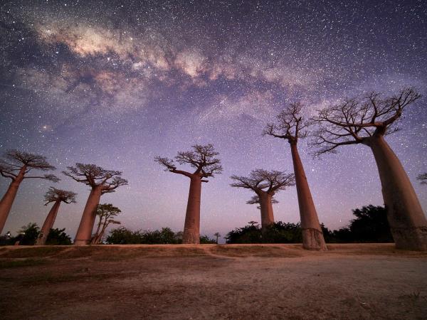 Madagascar Photography vacation