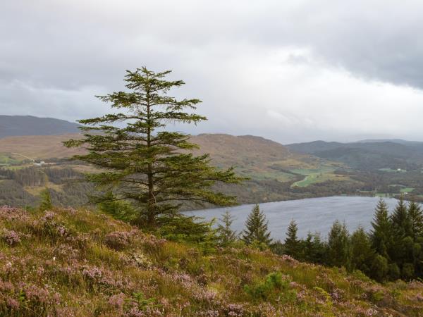 Walk The Great Glen Way, Scotland, self guided