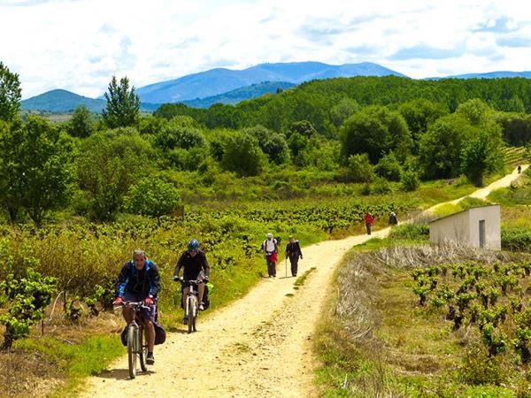 Camino de Santiago cycling vacations from Porto