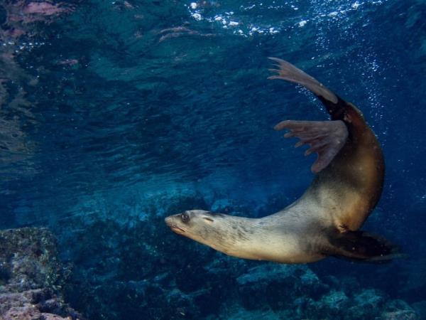 Galapagos Islands multi activity vacation