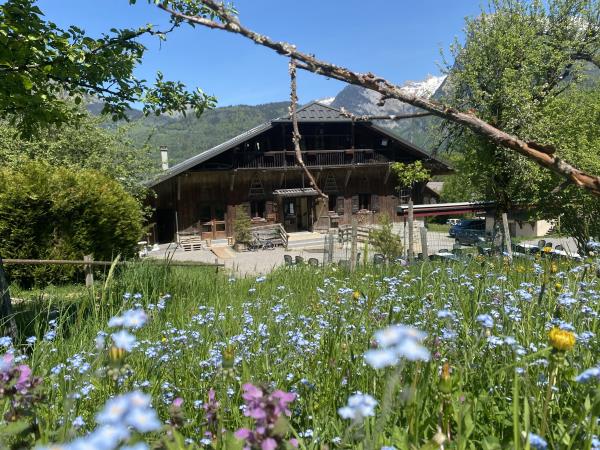 French Alps family activity vacation for teenagers