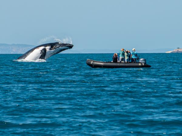 Kimberley coastal cruise in Australia