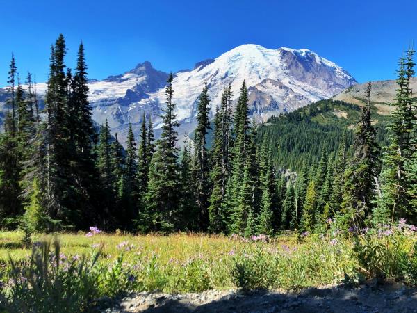 Best of Washington vacation, USA