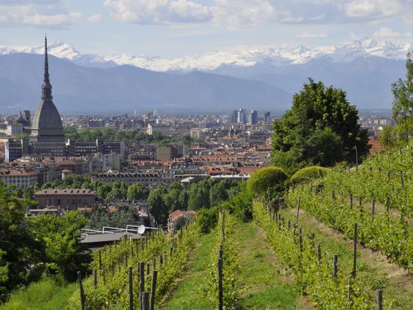 Piedmont vacation in Italy, food, wine & culture