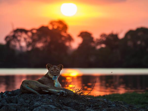Lower Zambezi and Kafue National Park holiday, Zambia