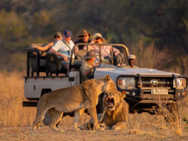 North and south Luangwa exploration, Zambia