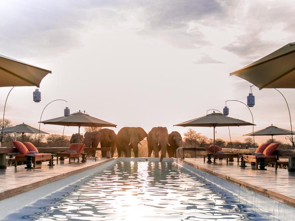 Botswana Delta and Kalahari Luxury safari for families