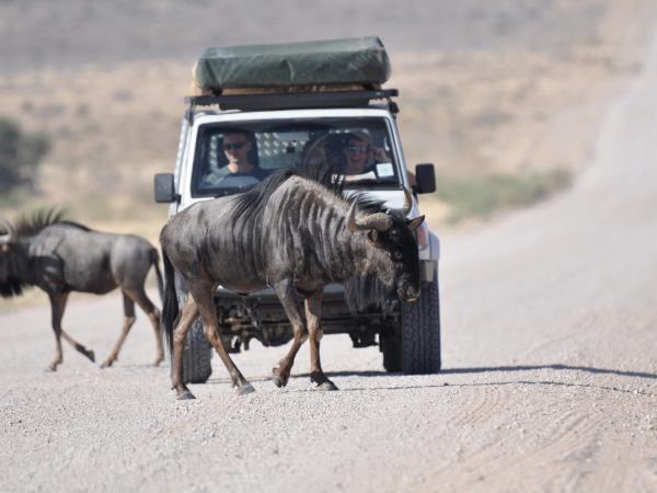 Namibia highlights self drive