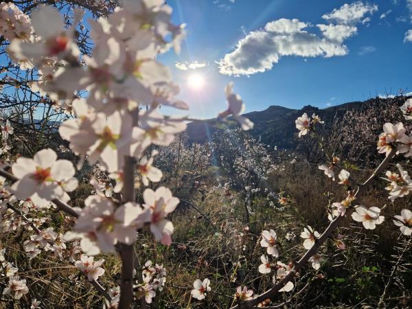 Spain hiking vacation, Walking in blossom