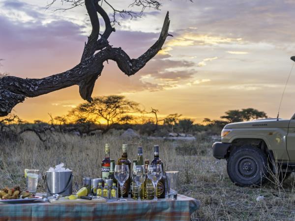 Namibia, Chobe and Victoria Falls vacation