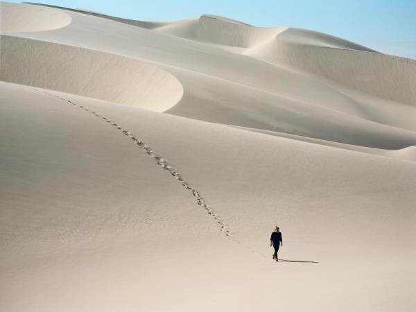 Namibia luxury fly-in safari