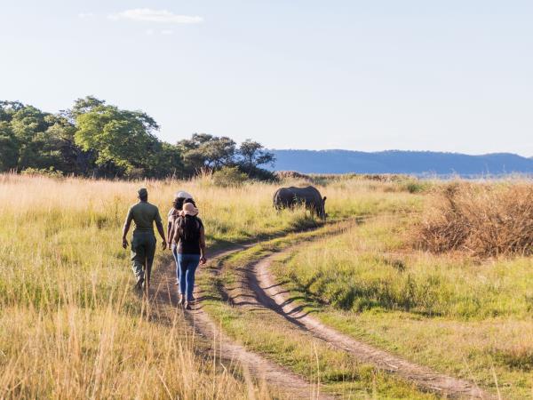 White rhino and horse project, Zimbabwe