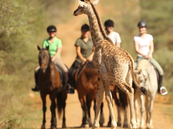 Horseback safari in South Africa