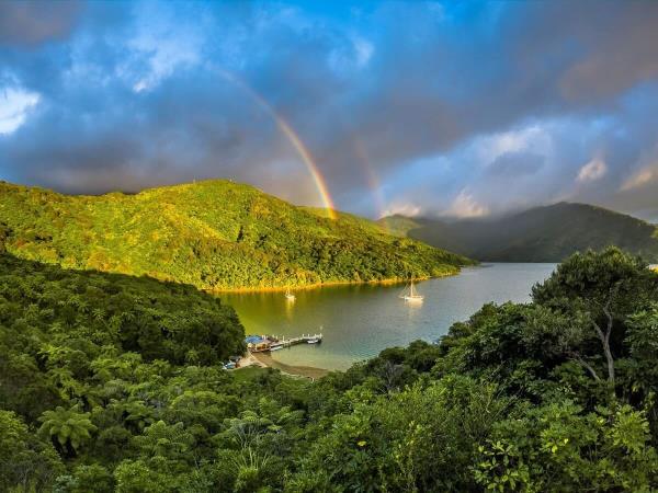 Marlborough Sounds small ship cruise in New Zealand