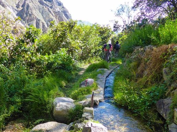 Colca Canyon trek in Peru