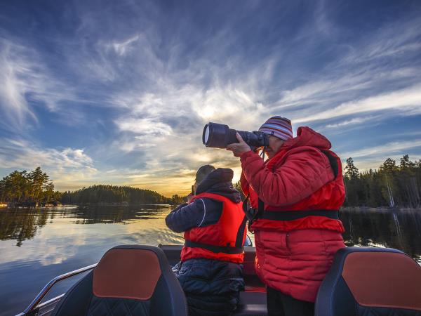 Wildlife photgraphy tour in Finland
