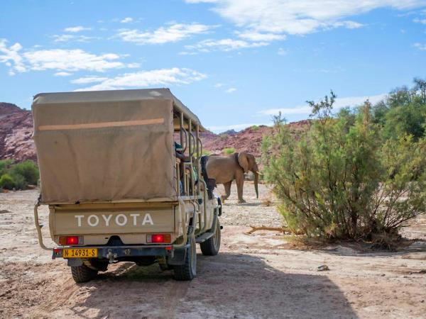 Elephant conservation project in Namibia
