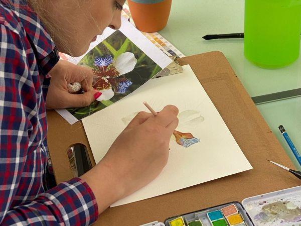 Botanical painting & yoga vacation, Portugal