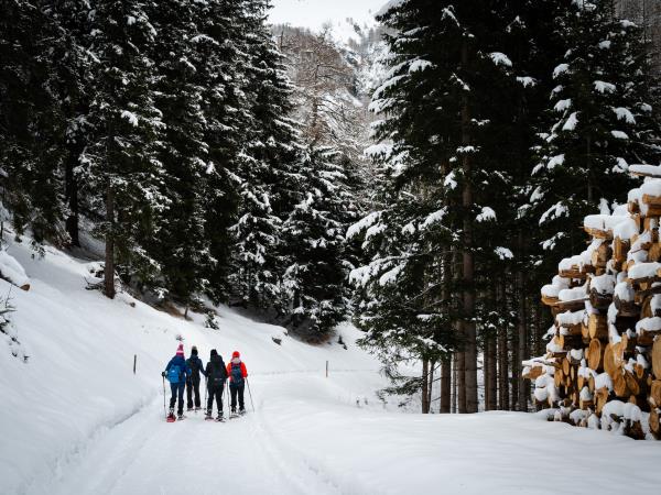 Austria snow shoeing and skiing holiday