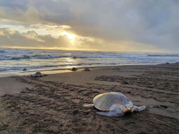 Costa Rica and Panama vacation