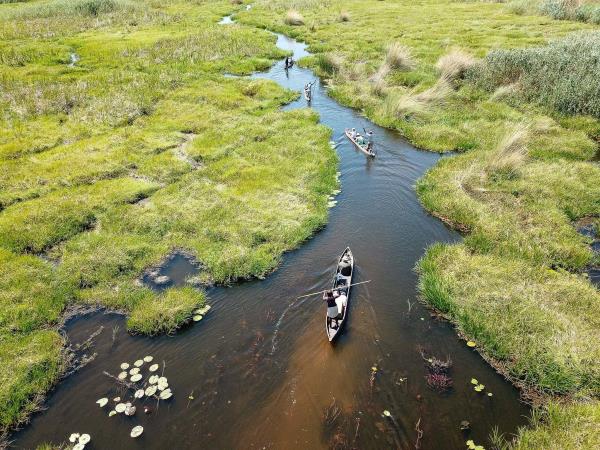 Botswana safari and wild camping