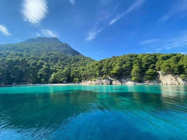 Wildlife conservation vacation, Greece