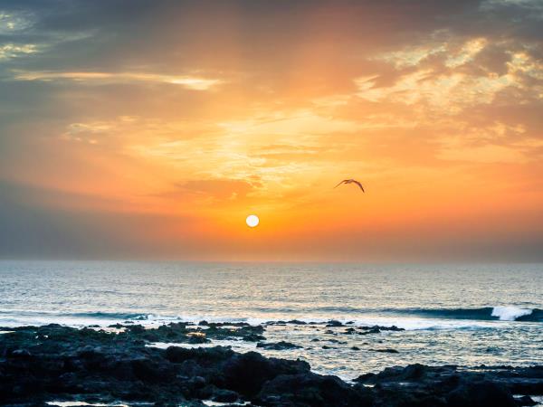Tenerife vacation with Spanish lessons