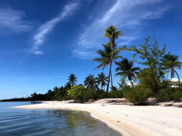 Desert island survival in Panama
