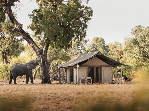 Botswana and Zimbabwe highlights tour