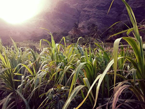 Cape Verde walking tour