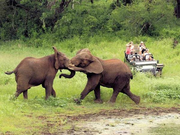 Kwa Zulu Natal self drive vacation