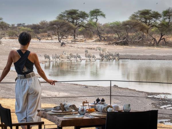 Namibia self drive vacation, big cat conservation