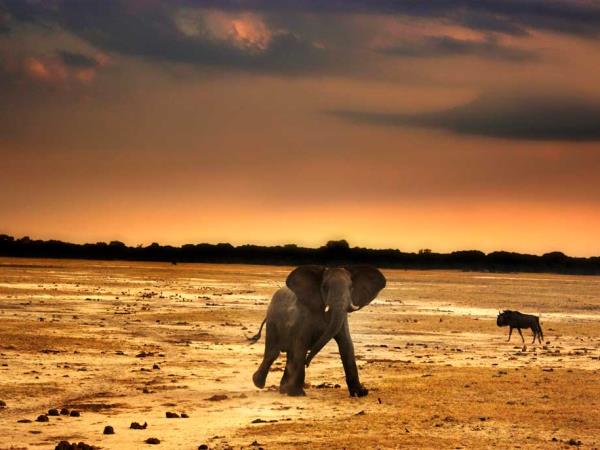 Zimbabwe tailor made vacation