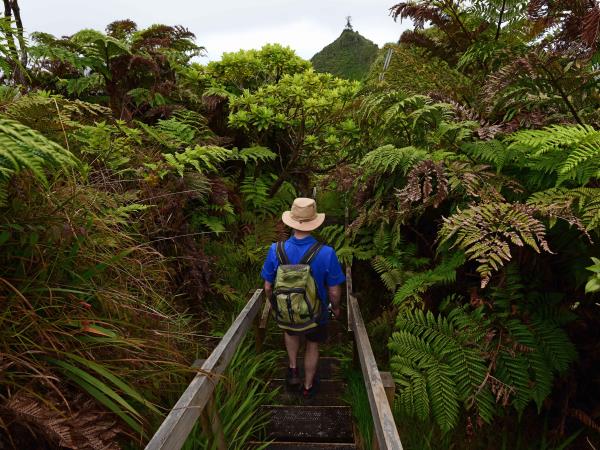 Saint Helena nature and culture tour