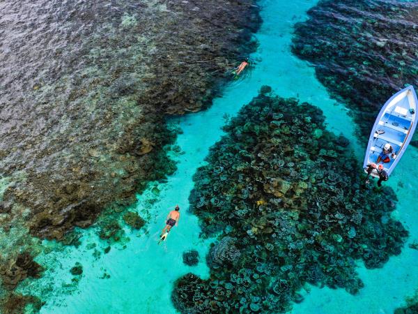 Rodrigues and Mauritius luxury tour
