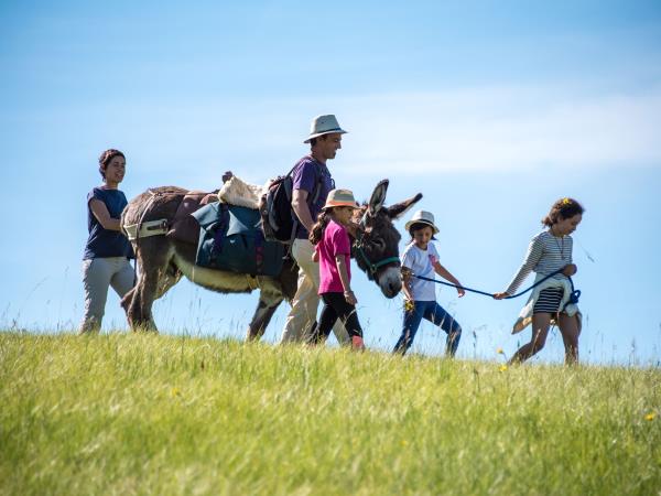 Family walking vacations with a donkey, France