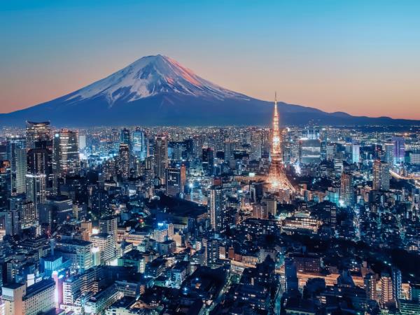 Japan art and food tour, tailor made