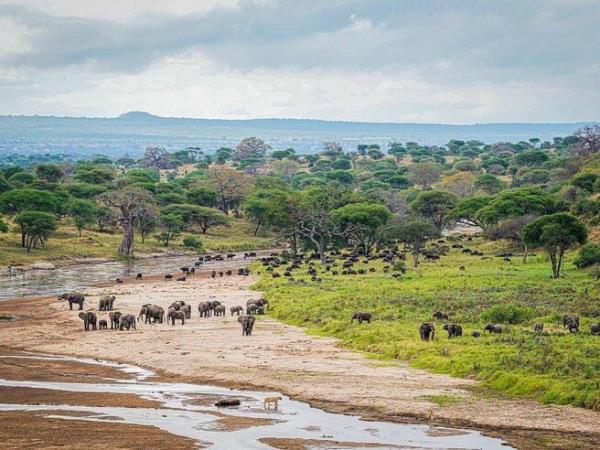 Northern Tanzania and Zanzibar guided safari